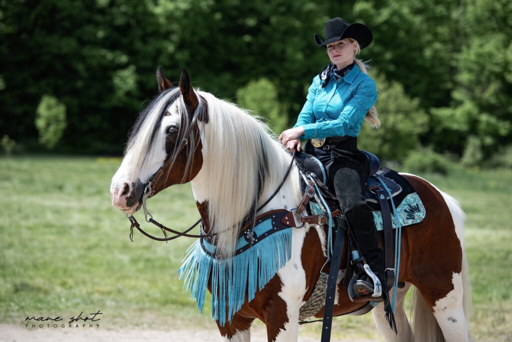 Heartbeat Of a Drum Horse